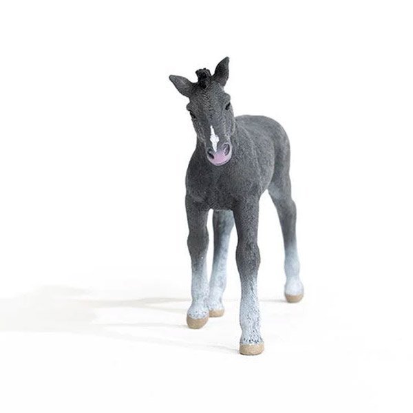 Figurka zabawkowa źrebak Traken Schleich 13944 - obrazek 5