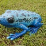 Figurka Dzięcioł niebieski 26 cm Lanka Novelties 21482